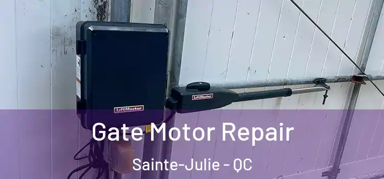 Gate Motor Repair Sainte-Julie - QC